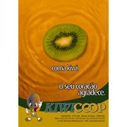 Kiwicoop - Cooperativa Frutícola da Bairrada CRL