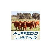 Alfredo Justino