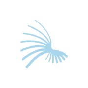 Clínica Doutor Dídio de Aguiar