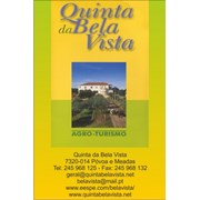 Quinta da Bela Vista