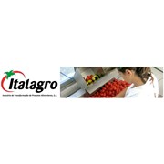 Grupo HIt - Holding da Indústria Transformadora de Tomate - Italagro e Fit