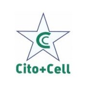 Cito + Cell (Custóias, Leça do Balio e Guifões)