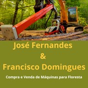 José Fernandes & Francisco Domingues