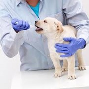 Vetri-Clínica Veterinária Lda (Vila Franca de Xira)