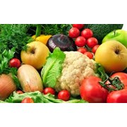 Joaquim José Barreto Alves Barata